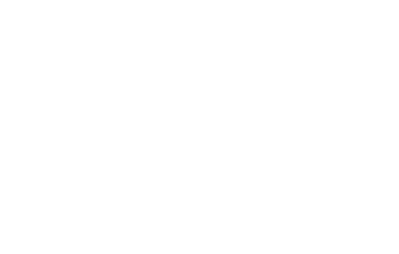 Libidex Logo