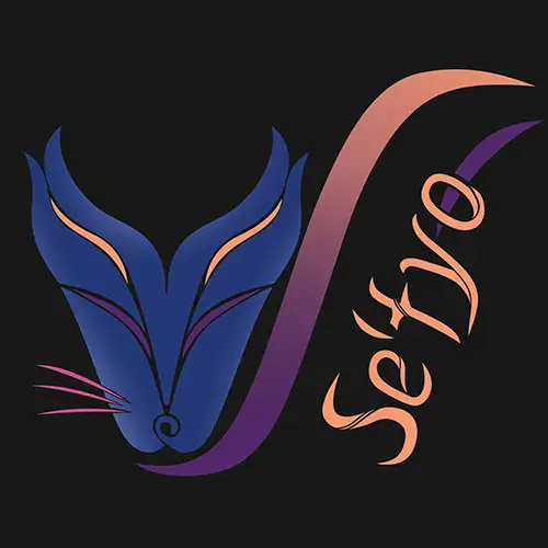 Se'tyo Design Latex Logo